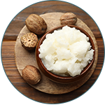 Masło shea, Butyrospermum Parkii
